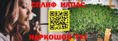 трава Краснодар