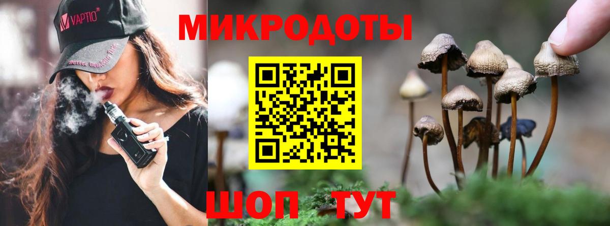 цены   Галлюциногенные грибы GOLDEN TEACHER  Псилоцибиновые грибы MAGIC MUSHROOMS  Вход с VPN  Калининград 